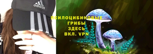таблы Алзамай